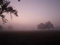 057-Foggy Morning